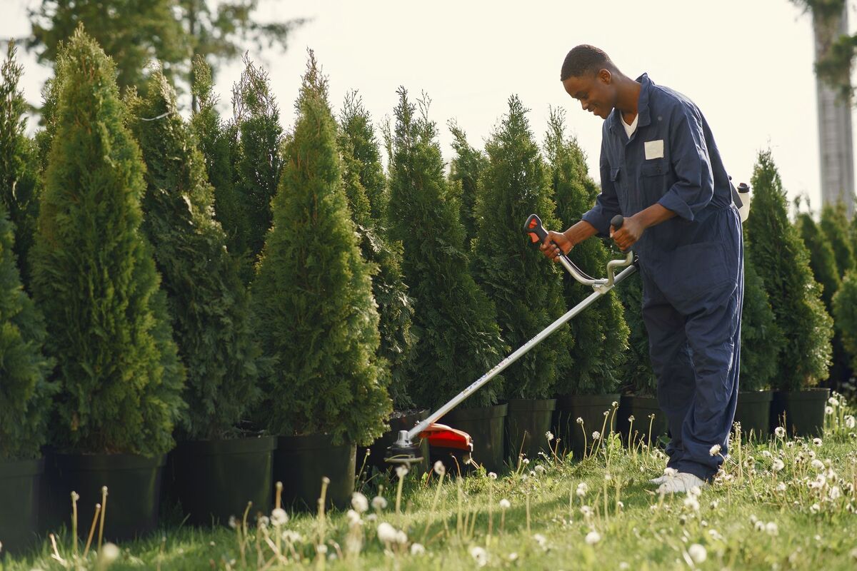Landscaping Companies in the Atlanta metro area