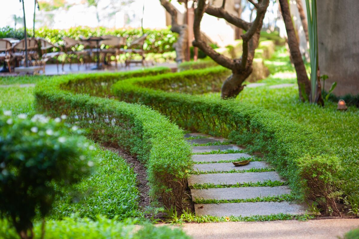 Local SEO for Landscaping Companies in Atlanta