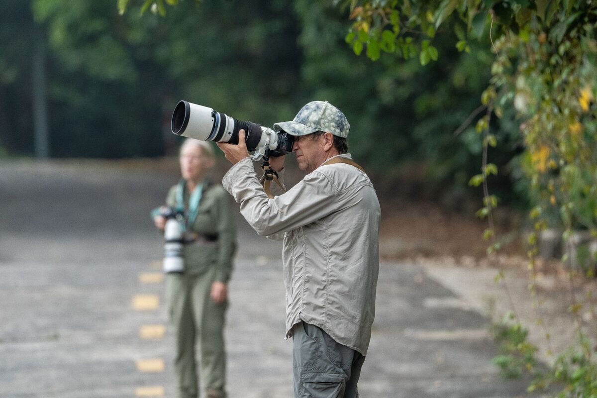 Local SEO for Photographers in Atlanta
