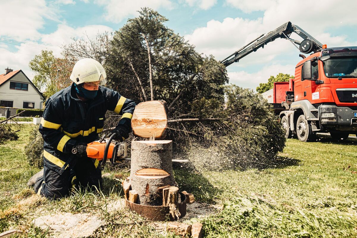 Local SEO for Tree Services in Atlanta