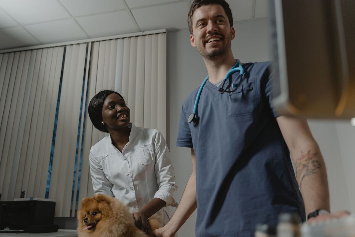 SEO for Veterinarians in Atlanta, Georgia