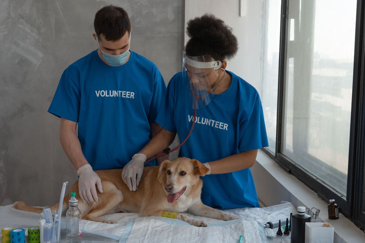 Veterinarians in the Atlanta metro area