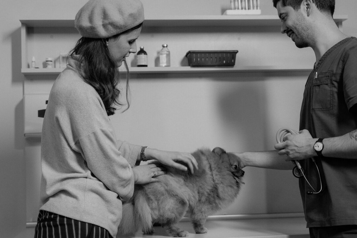 Local SEO for Veterinarians in Atlanta